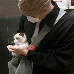 欧美XXXXX性内射
